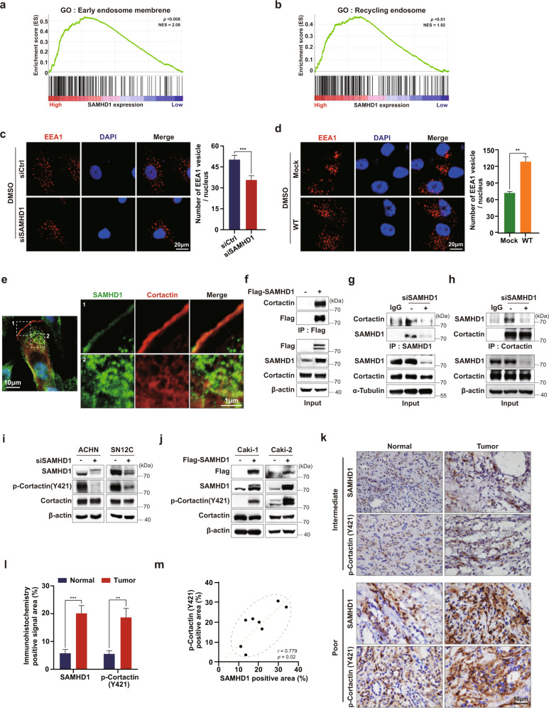 PMC10167369 – Fig6
