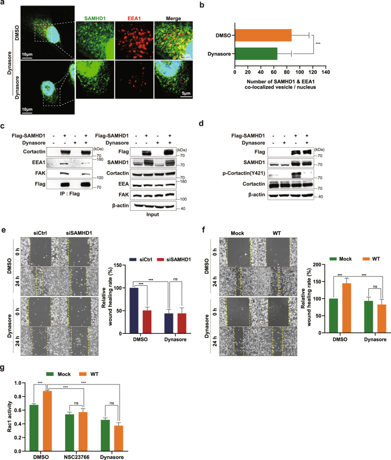 PMC10167369 – Fig7