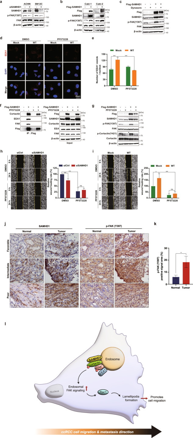 PMC10167369 – Fig8