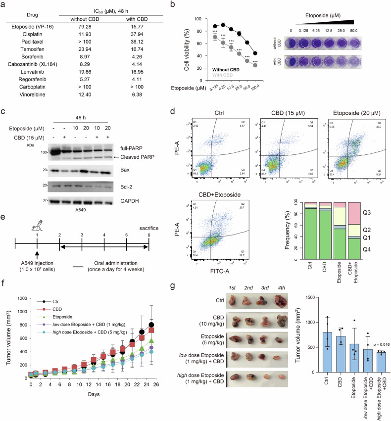 PMC12130484 – Fig1