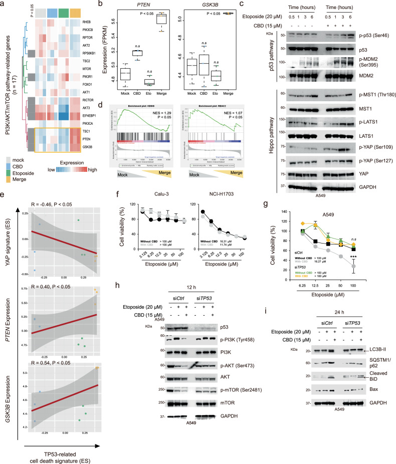 PMC12130484 – Fig5