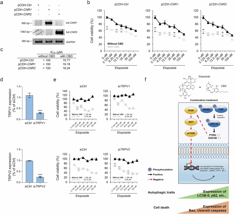 PMC12130484 – Fig6