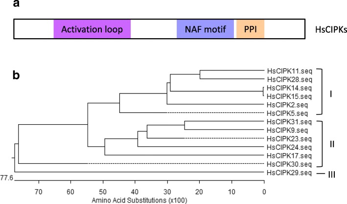 PMC6135728 – Fig1