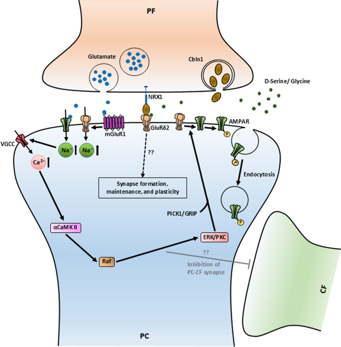 PMC11868327 – Fig1
