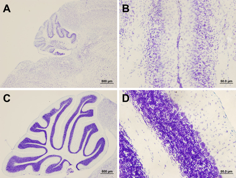 PMC11868327 – Fig2