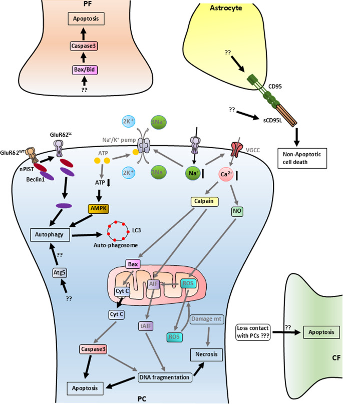 PMC11868327 – Fig3