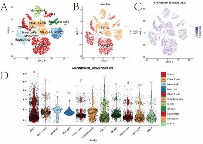PMC12576994 – Fig11