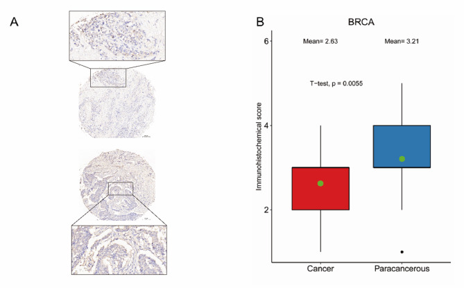 PMC12576994 – Fig12