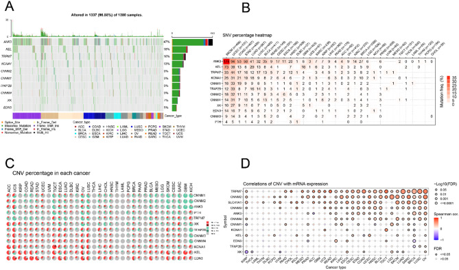 PMC12576994 – Fig2