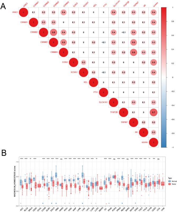 PMC12576994 – Fig5