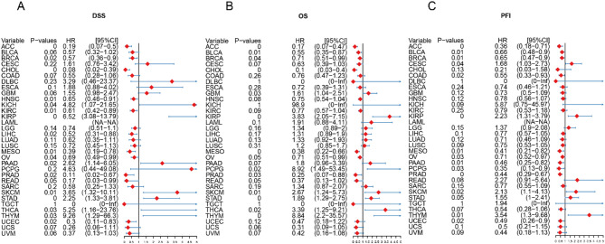 PMC12576994 – Fig6