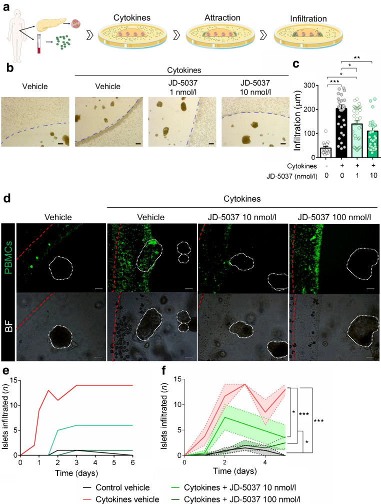 PMC11410908 – Fig2