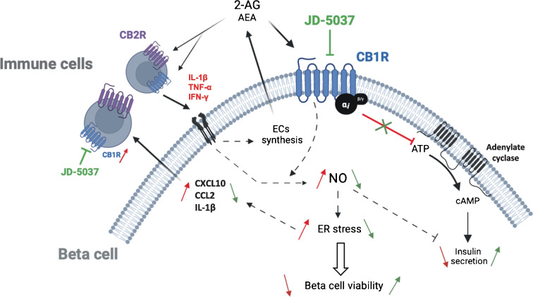 PMC11410908 – Fig8