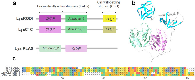 PMC12634807 – Fig1