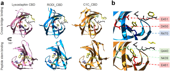 PMC12634807 – Fig5