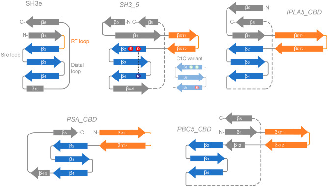 PMC12634807 – Fig7