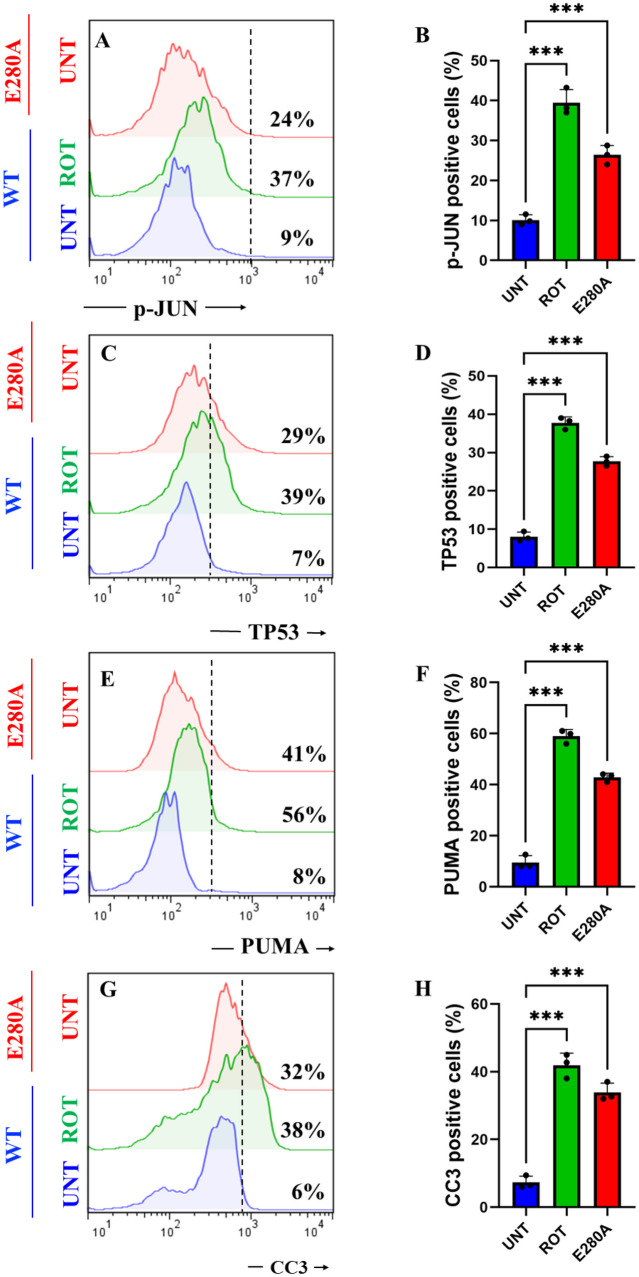 PMC11156752 – Fig5
