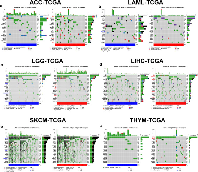 PMC8938586 – Fig11