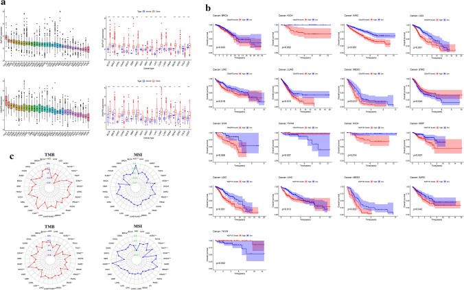 PMC9008104 – Fig10