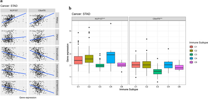 PMC9008104 – Fig11