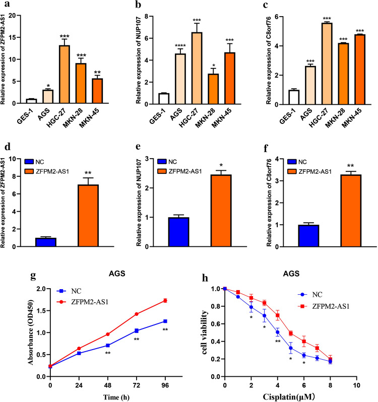 PMC9008104 – Fig12