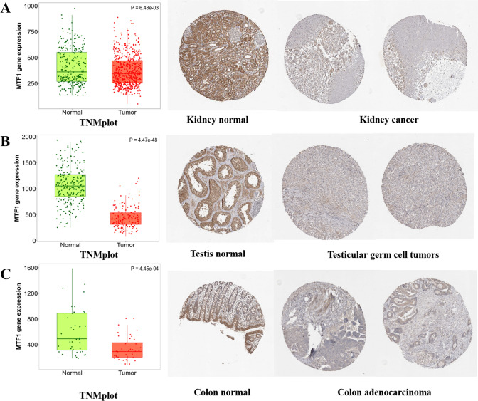 PMC10307746 – Fig2