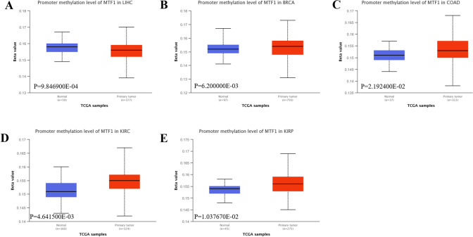 PMC10307746 – Fig6