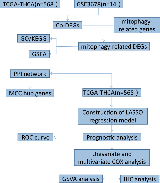 PMC10501032 – Fig1