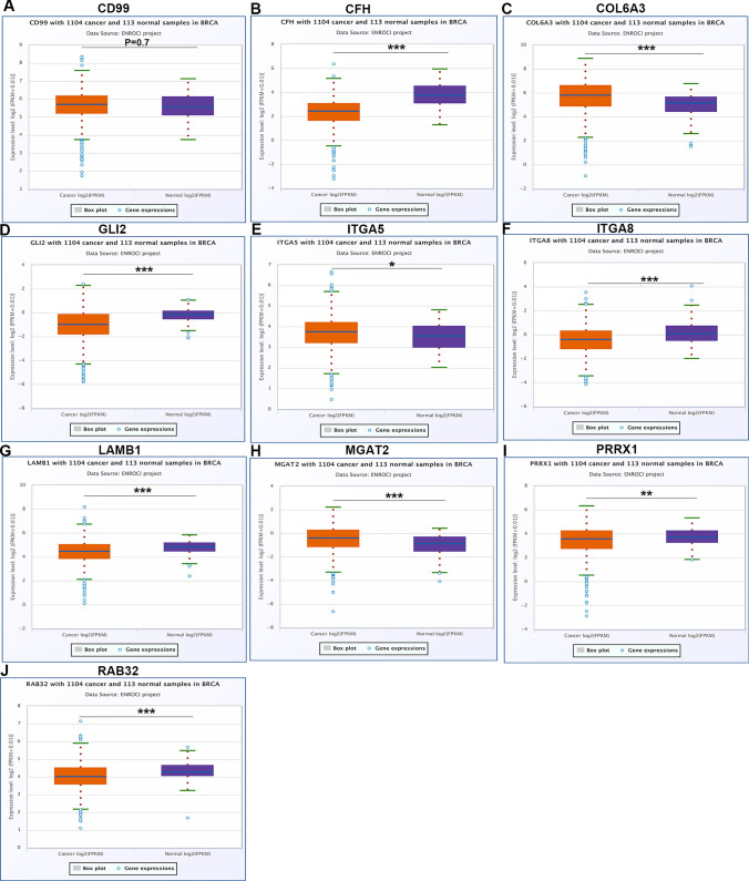 PMC10589178 – Fig4