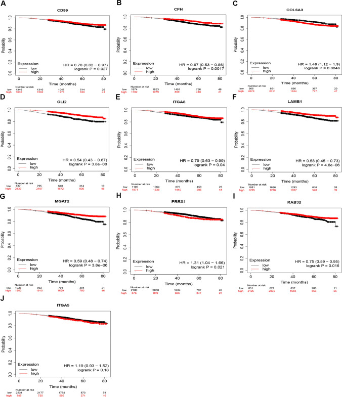 PMC10589178 – Fig5