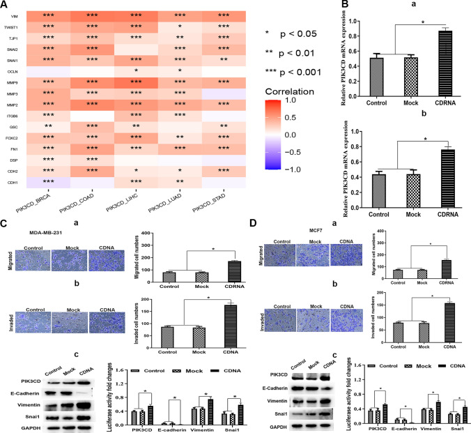 PMC10589178 – Fig6