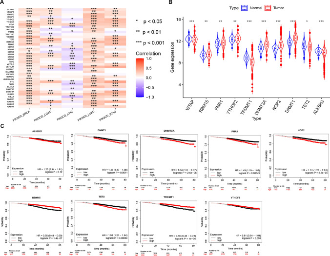 PMC10589178 – Fig9