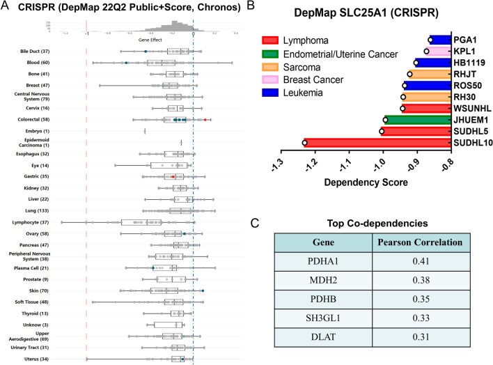 PMC10657916 – Fig10
