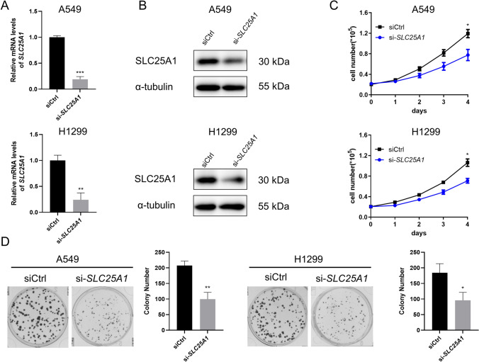 PMC10657916 – Fig11