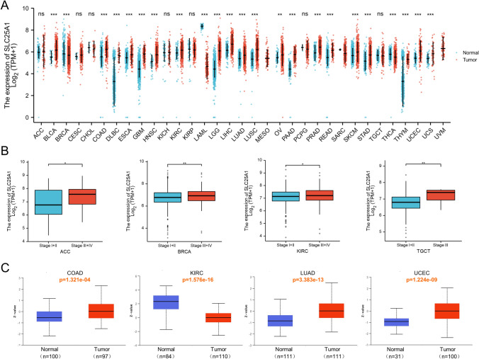 PMC10657916 – Fig2