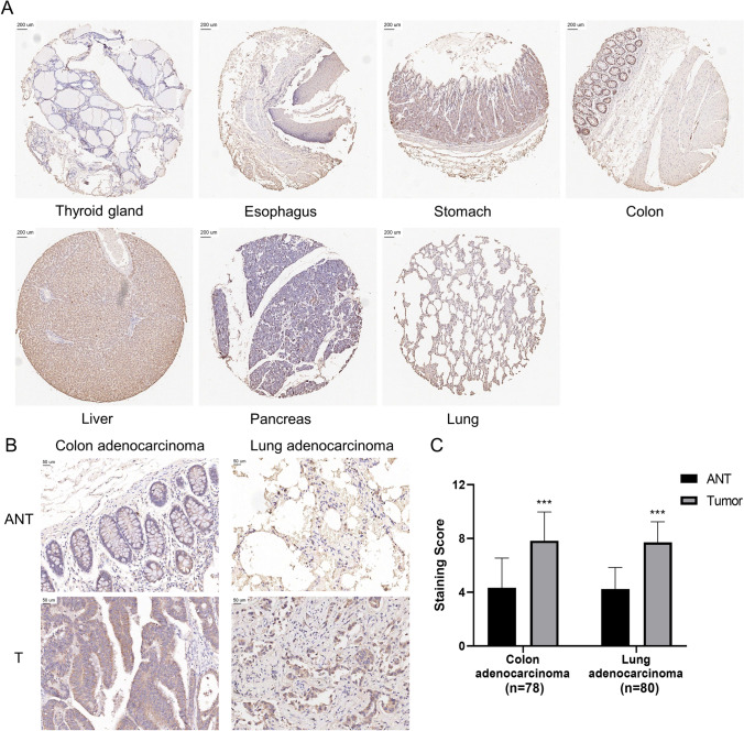 PMC10657916 – Fig3