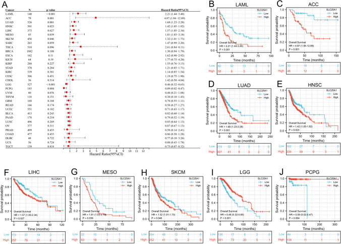PMC10657916 – Fig4
