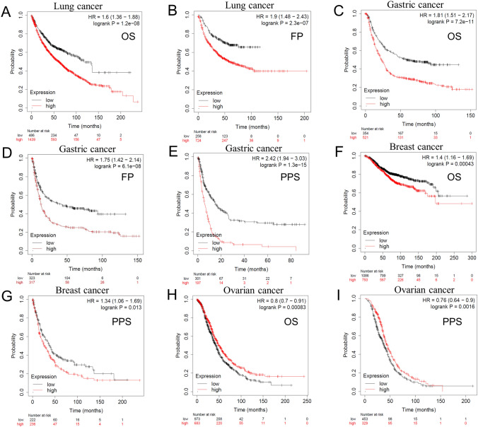 PMC10657916 – Fig5