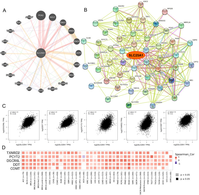PMC10657916 – Fig8