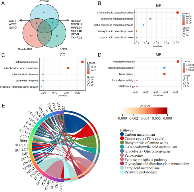 PMC10657916 – Fig9