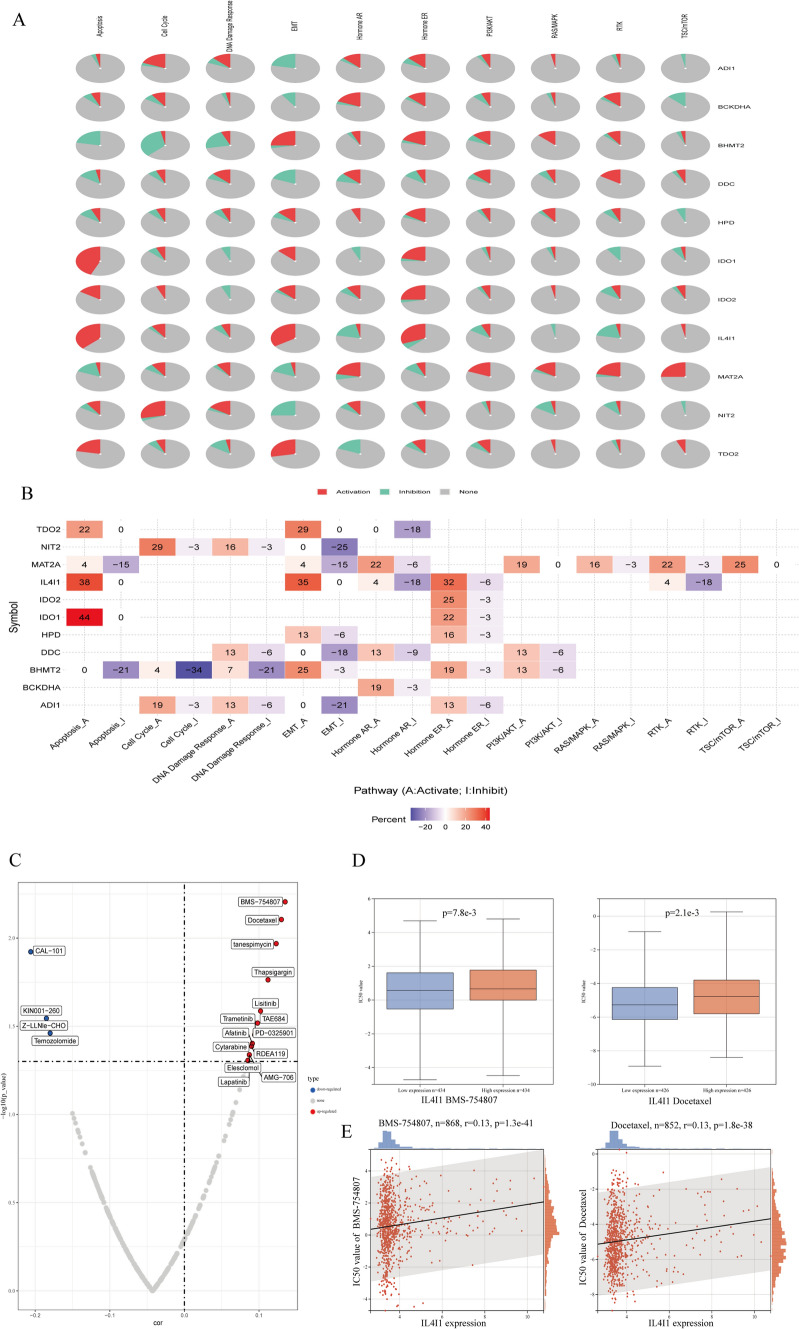 PMC11063023 – Fig10
