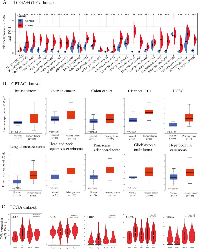 PMC11063023 – Fig1
