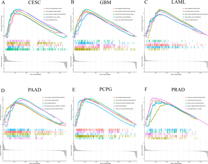 PMC11063023 – Fig4