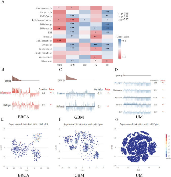 PMC11063023 – Fig7