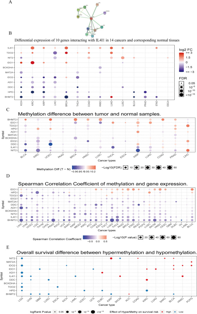 PMC11063023 – Fig9