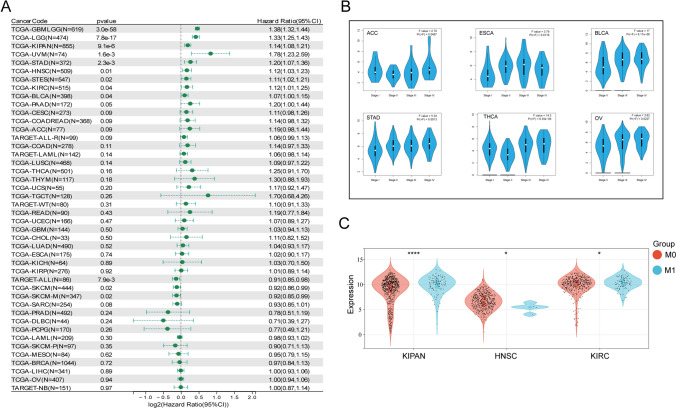 PMC11136932 – Fig2