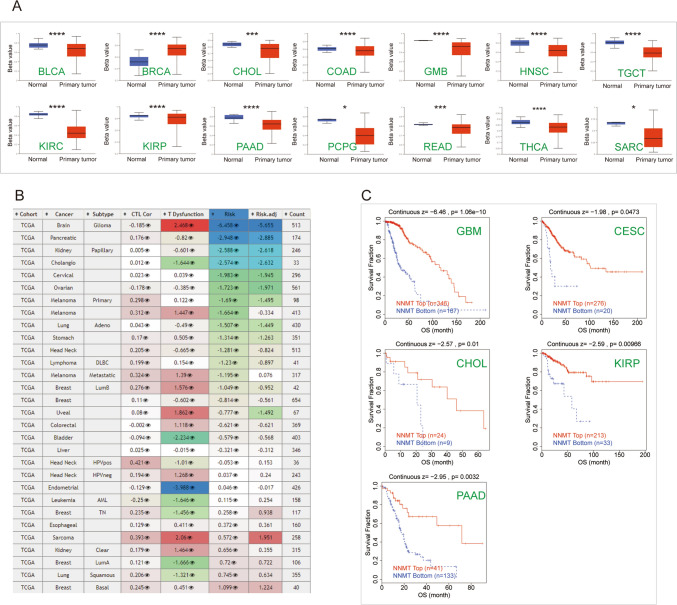 PMC11136932 – Fig3