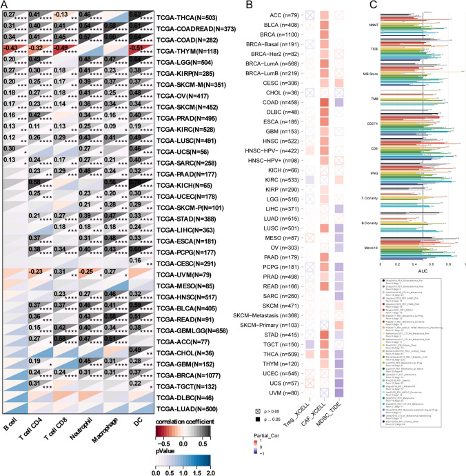 PMC11136932 – Fig5