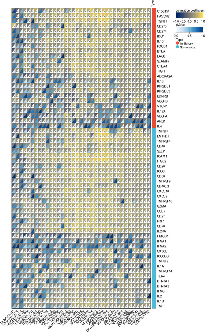 PMC11136932 – Fig6