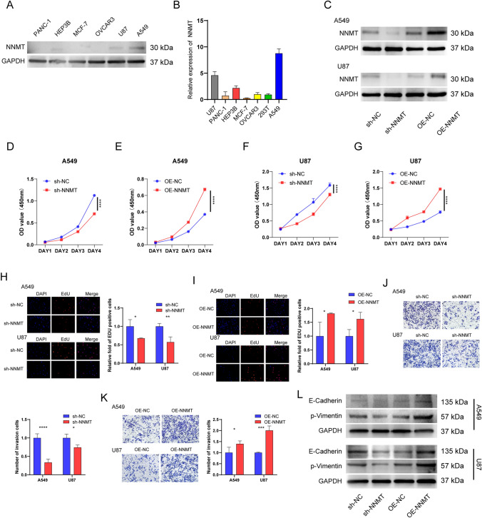 PMC11136932 – Fig8